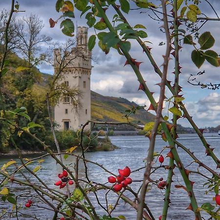 Ferienwohnung Rheinblick Bingen am Rhein Exteriör bild