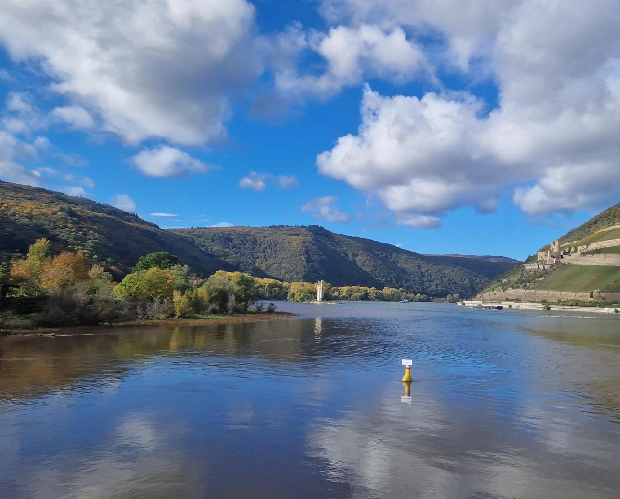 Ferienwohnung Rheinblick Bingen am Rhein Exteriör bild
